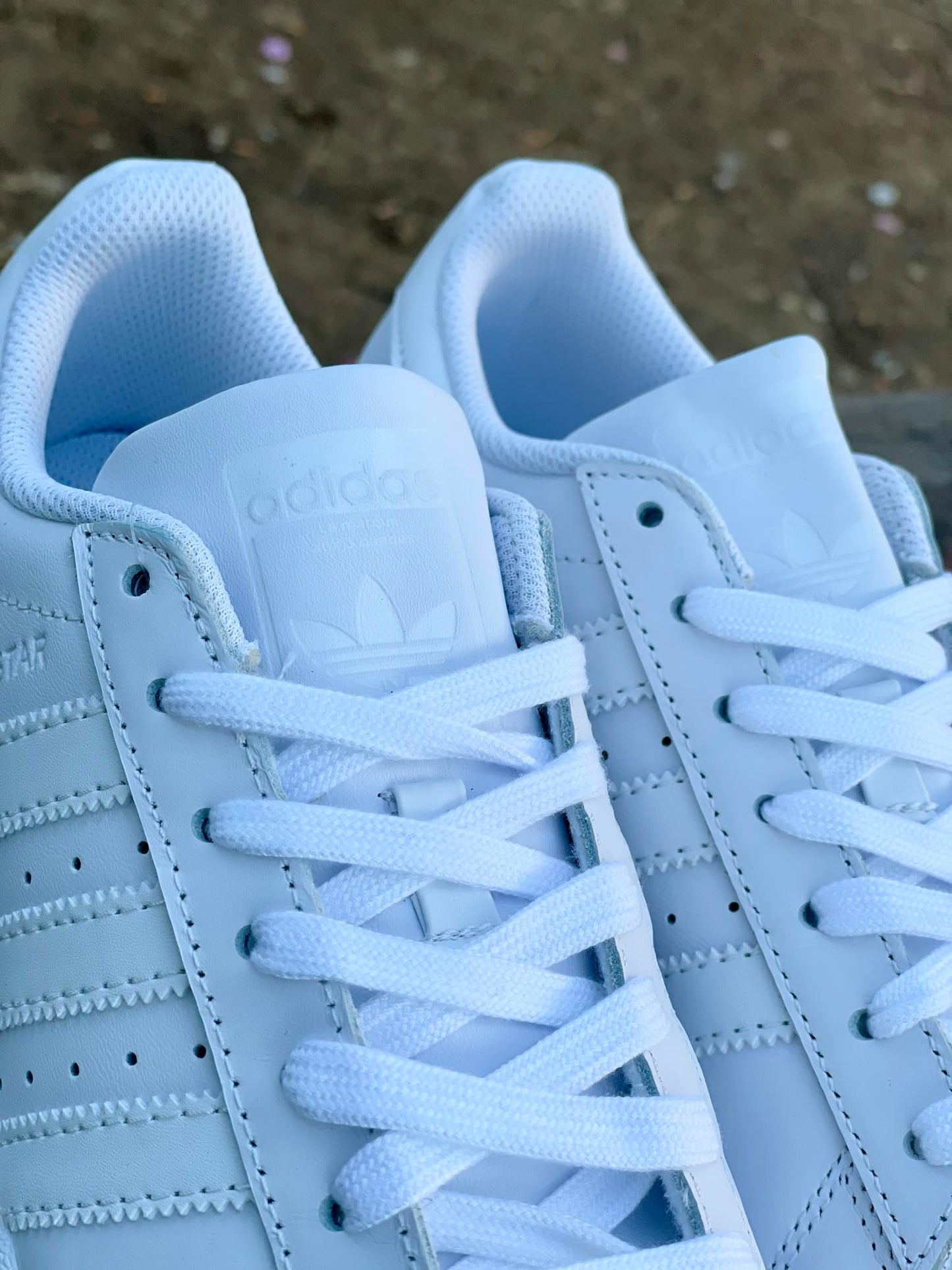 ADIDAS SUPERSTAR BLANC